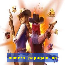 numero papagaio no jogo do bicho